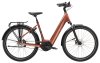 Trek District+ 4 Lowstep XL Pennyflake 400WH