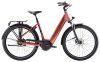 Trek District+ 4 LS Coaster S Pennyflake 725WH